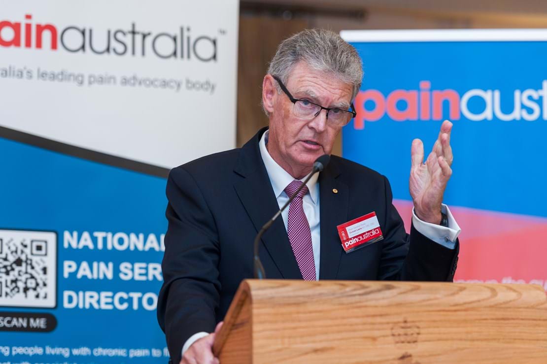 Painaustralia Chairman, Major General Ducan Lewis AO DSC CSC (Retd)